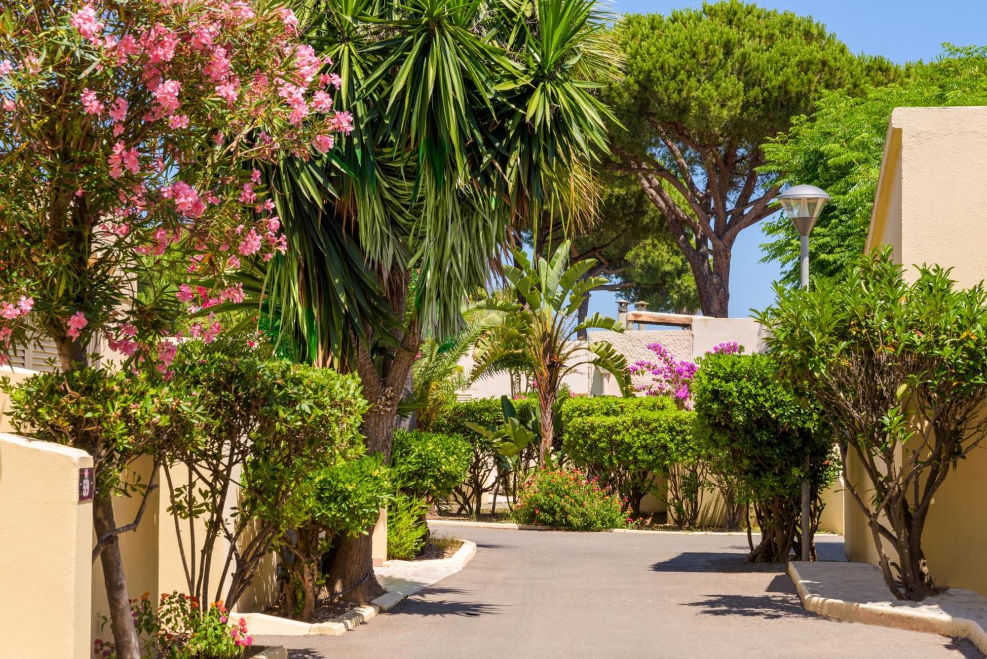 Residence San Pellegrino Folelli Exterior photo